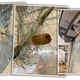 Image for article titled Holy Crap A Tornado Launched A Corn Cob Through A Tractor Windshield